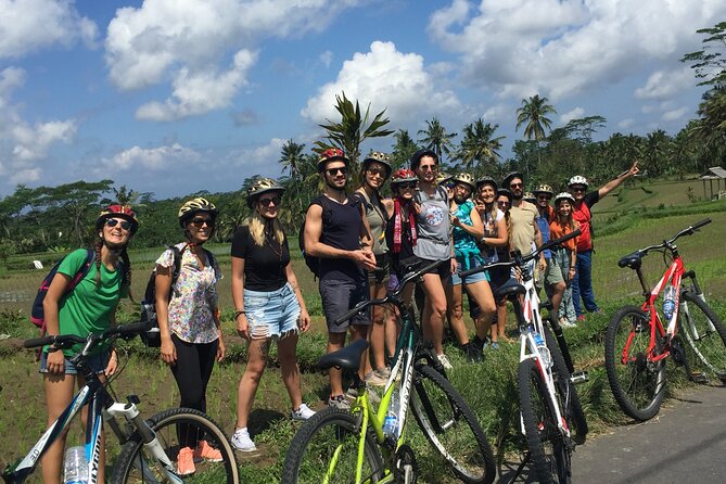 Bali Countryside Cycling Tour by Halo Bike Tour - Value and pricing: why $65 makes sense for this format