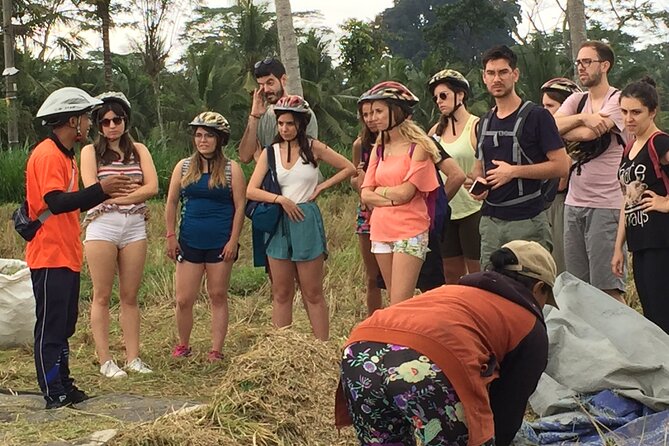 Bali Countryside Cycling Tour by Halo Bike Tour - Who should book this Bali countryside cycling day?