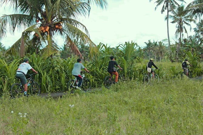 Bali Countryside Eco Cycling Tour include Lunch - Key highlights that make this tour worth your morning