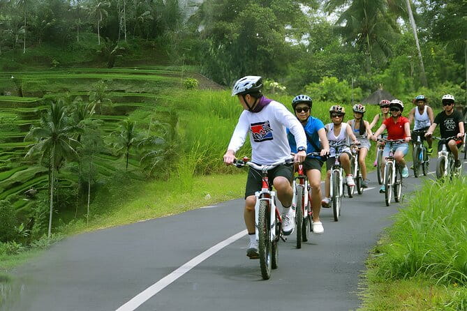 Bali Countryside Eco Cycling Tour include Lunch - Price and value: is $78.21 a fair deal from Seminyak?