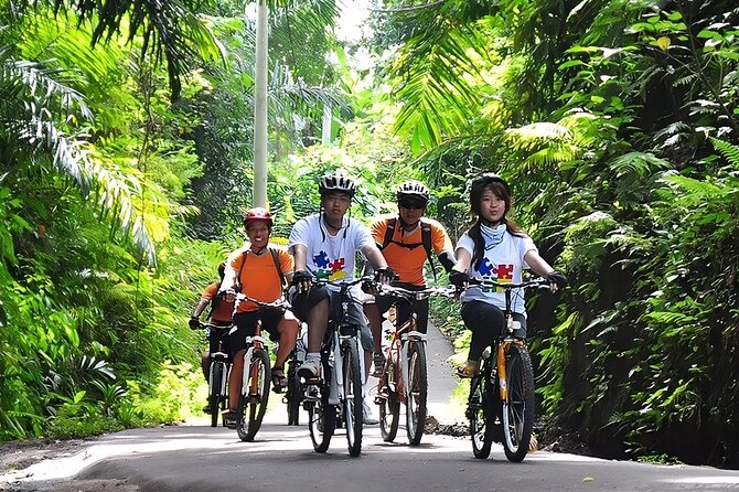 Bali Cycling and Ubud Waterfall Tour - Pickup, Privacy, and the Driver-Brain Advantage