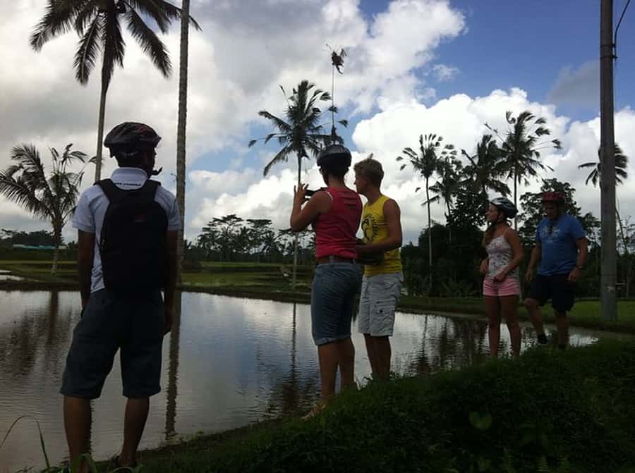 Bali Downhill Cultural Cycling Tour - Coffee plantation tastings: more than a stop in a shop