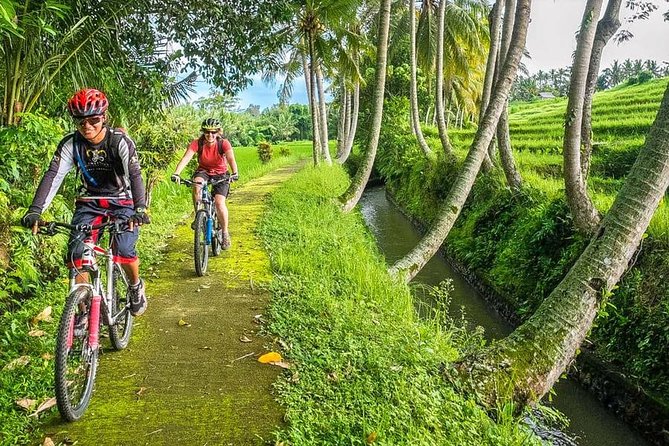 Bali Downhill Cycling and White Water Rafting - Why Kintamani Bike + Ayung Rafting Is a Smart Bali Day