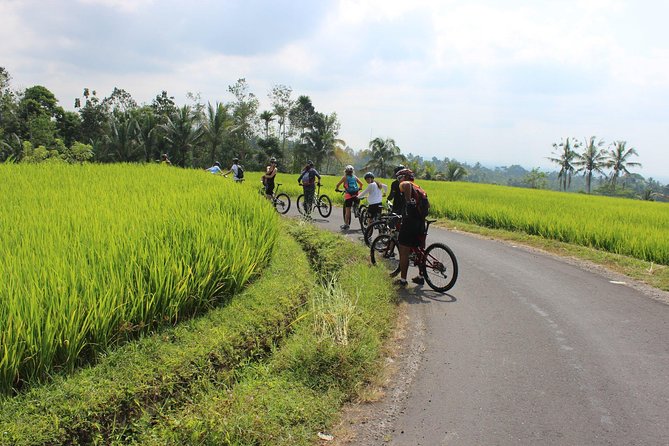 Bali Downhill Cycling and White Water Rafting - Gear, Guides, and Safety: What’s Included and What You Should Plan