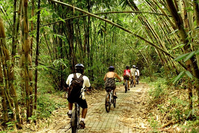 Bali Downhill Cycling and White Water Rafting - Price and Value: Is $100 a Good Deal for This Combo?