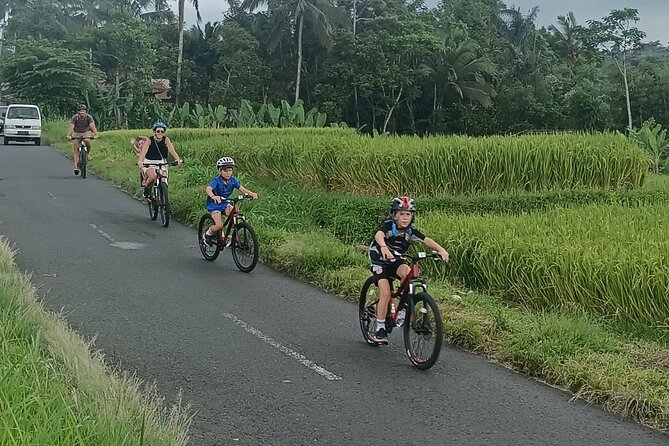Bali Downhill Natural Cycling Tour & visit Volcano - Stop-by-stop: Warung Tepi Sari to Banjar Laplapan