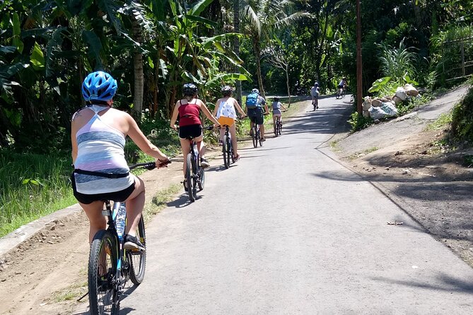 Bali Downhill Natural Cycling Tour & visit Volcano - Meals that actually work for cyclists (and picky eaters)