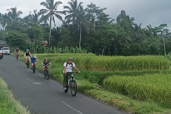 Bali Downhill Natural Cycling Tour & visit Volcano - The biking: how hard is it, really?