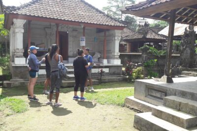 Bali Eco & Educational Cycling Tour - Pickup and Travel: The A/C Part You’ll Be Thankful For
