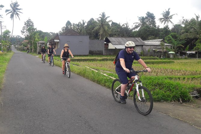 Bali Eco & Educational Cycling Tour - Meals Built Into the Experience: Balinese Lunch and Coffee Break
