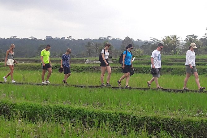 Bali Eco & Educational Cycling Tour - Safety and Family-Friendly Details That Matter