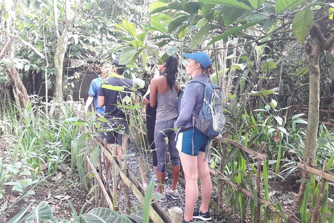 Bali Eco & Educational Cycling Tour - What the Price Really Buys (Not Just the Number)