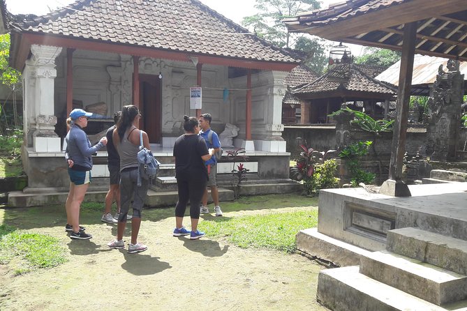 Bali Eco & Educational Cycling Tour - Pickup and Travel: The A/C Part You’ll Be Thankful For