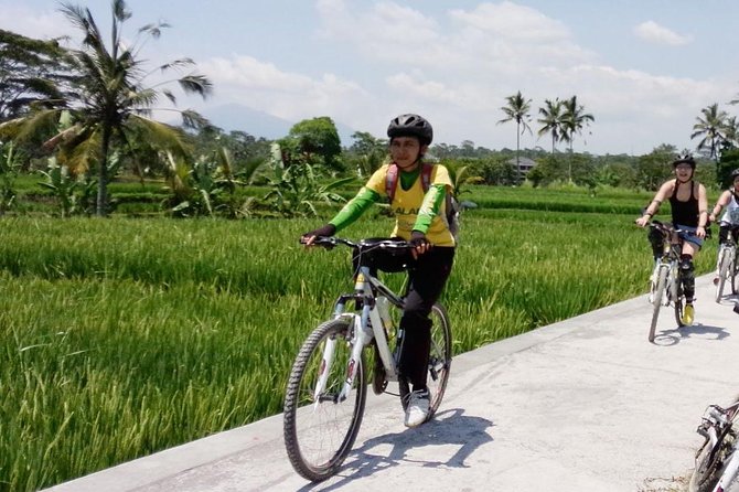 Bali Mountains and Villages Cycling Tour - Key points at a glance
