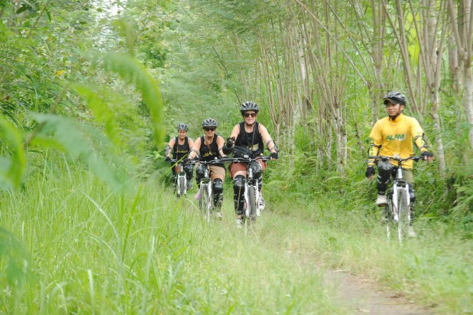 Bali Mountains and Villages Cycling Tour - Morning Pickup to Kintamani Highlands: what to expect before you ride