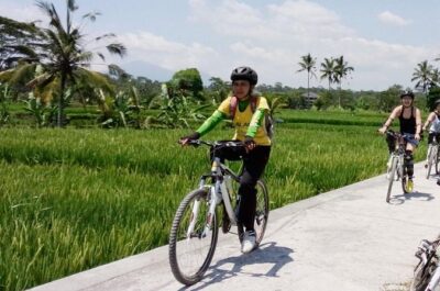 Bali Mountains and Villages Cycling Tour - Bayung Gede downhill riding: plantations, river valleys, and off-road tracks