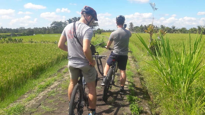 Bali: Ubud Country Side Cycling Tour with Lunch - Craft centers on the route: silver jewelry making and black bee farming
