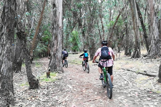 Beginner or Intermediate Mountain Bike Tour of Santa Barbara - Intermediate ride: smooth trails, small jumps, and a 150-foot climb