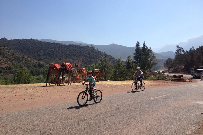 Beginners On-Road Bike Tour of the Atlas Mountains from Marrakech - Key Things You’ll Notice