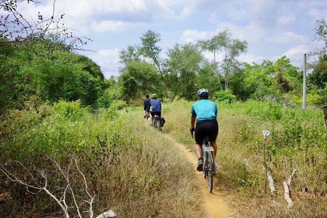 Bike And Boat Mekong Delta Cycling Tour - A River Overpass Break That’s Built Into the Route