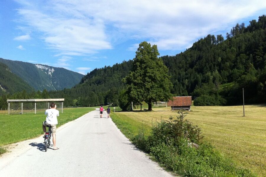 Bled: Mountain Bike Rental - Quick Hits: Why This Bled Bike Rental Feels Worth It