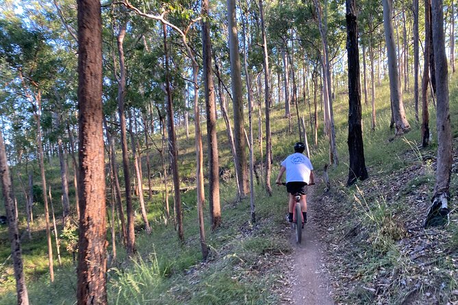 Brisbane Electric Mountain Bike Experience Tour - The coaching style: why Ben Forbes matters
