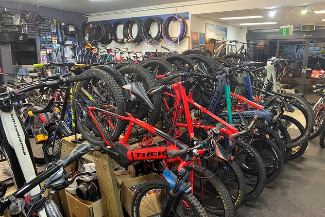 Brisbane Electric Mountain Bike Experience Tour - Who this is best for (and who might want to rethink it)
