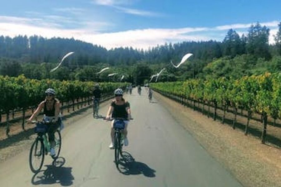 Calistoga: Napa Valley Cycling and Winery Tour with Picnic - Key Things You’ll Notice on This Calistoga Napa Valley Cycling Tour