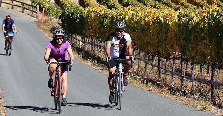 Calistoga: Napa Valley Cycling and Winery Tour with Picnic - Why Cycling the Calistoga Back Roads Makes Napa Feel Personal
