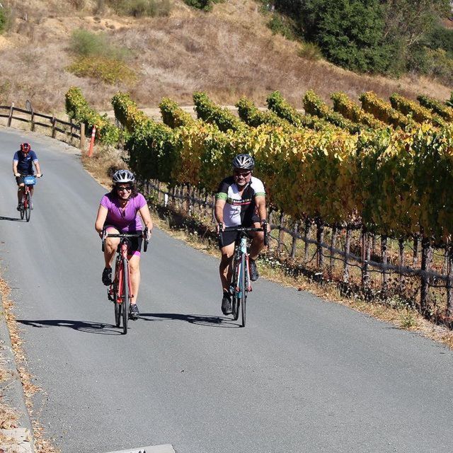 Calistoga: Napa Valley Cycling and Winery Tour with Picnic - The Picnic Lunch: Simple, Local, and Timed Right