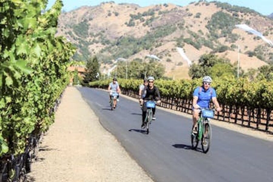 Calistoga: Napa Valley Cycling and Winery Tour with Picnic - Bike Setup and Pace: Comfortable for Most, Not for Everyone