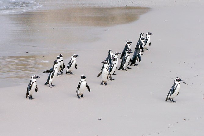 Cape Peninsula Cycle Tour - Morning logistics that actually affect your comfort