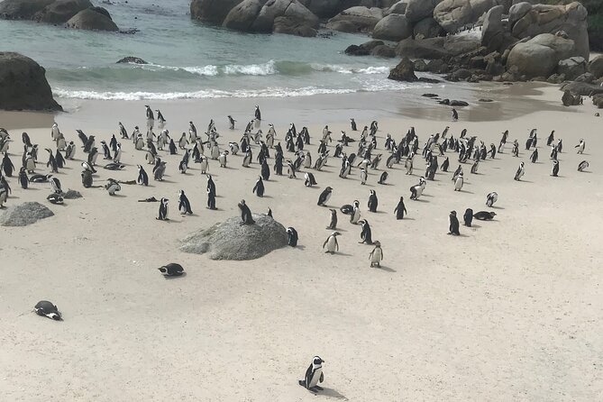 Cape Peninsula Cycle Tour - Camps Bay finish: where to spend the rest of the day