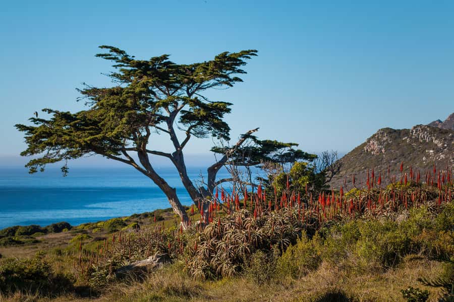 Cape Town: 9-hour Cape Point Private Guided Cycling Tour - Price and value: is $353 a fair deal?