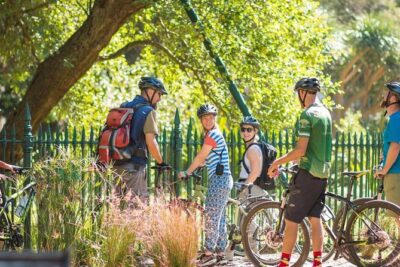 Cape Town City Cycling Tour - How the Ride Works: Timing, Group Size, and Road Reality