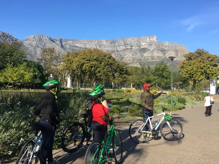 Cape Town Guided City Cycling Heritage Tour - Private Tour - Company Gardens and the politics-meets-botany feeling