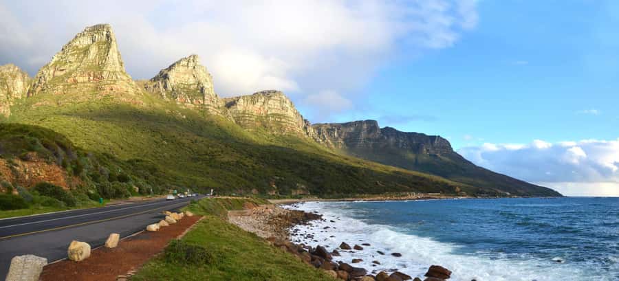 Cape Town: Half Day Cycle Tour 60km - The Atlantic-Coast Ride That Feels Like Constant Good Timing