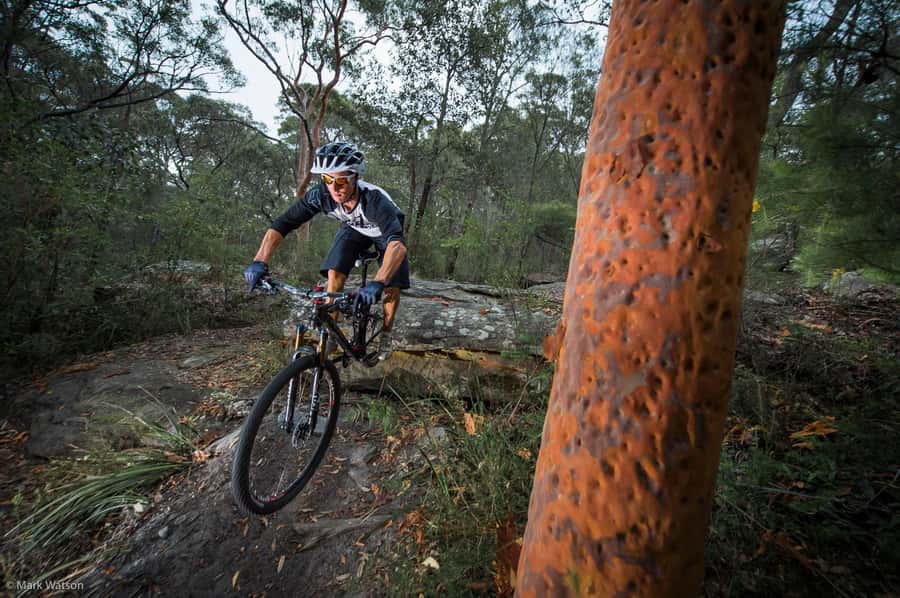 Cape Town: Peninsula Private Mountain Bike Tour with Ex-Pro - Southern Peninsula MTB, built for real skill matching