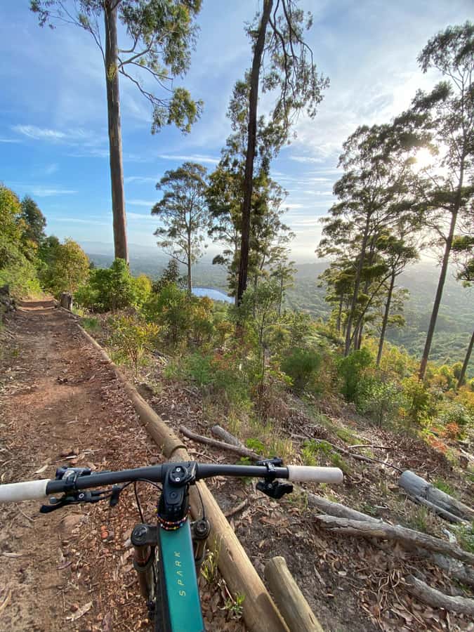 Cape Town: Peninsula Private Mountain Bike Tour with Ex-Pro - Coaching and skills clinics: when you want them, not when you do not