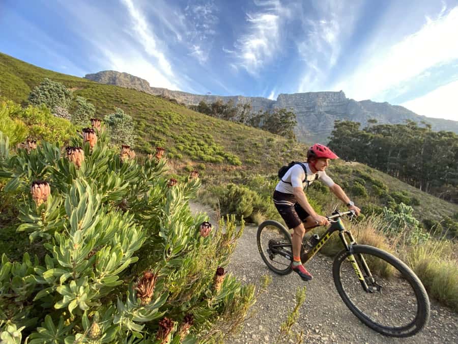 Cape Town: Peninsula Private Mountain Bike Tour with Ex-Pro - Who this tour fits best (and who should skip it)