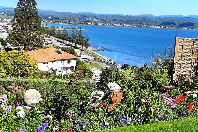 Cape Winery Cycle Tour - 6 wineries, self-guided - Black Barn Vineyards: finish with atmosphere, then the 4pm shuttle back