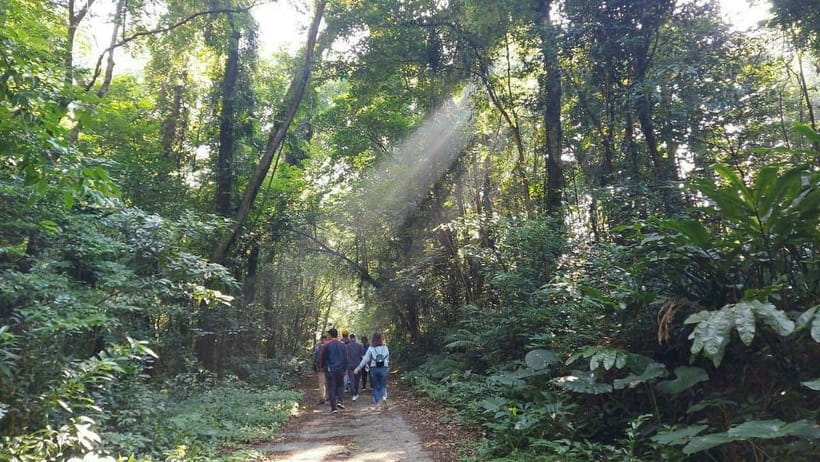Cat Ba: National Park Day Trip with Cycling and Kayaking - Who Should Book (and Who Should Skip It)