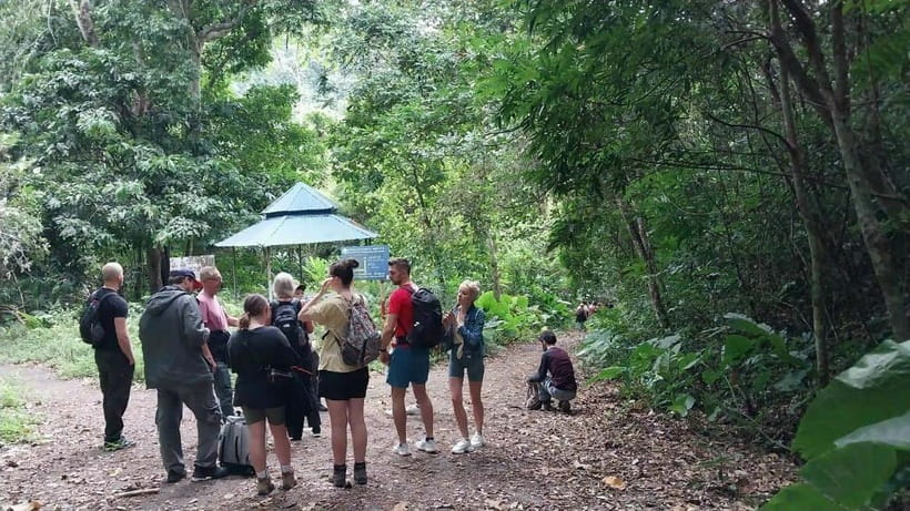 Cat Ba: National Park Day Trip with Cycling and Kayaking - Pickup, Timing, and Getting Started from Cat Ba Town