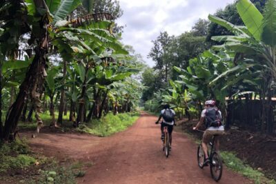 Chagga Villages in Mount Kilimanjaro Cycling Day Trip - The route from Moshi into Chagga farming country