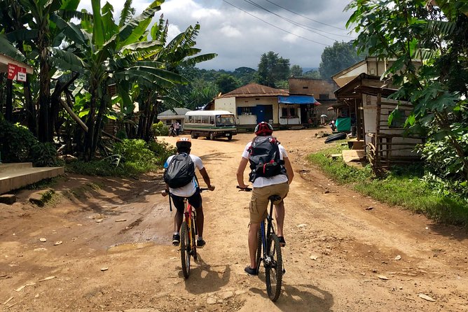 Chagga Villages in Mount Kilimanjaro Cycling Day Trip - Banana and coffee plots: what you’ll actually learn on the ride