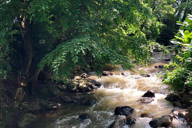 Chagga Villages in Mount Kilimanjaro Cycling Day Trip - Value check: is $101.54 worth your day?