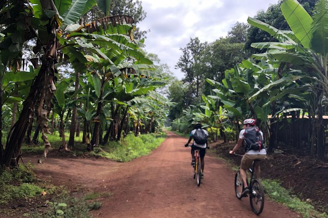 Chagga Villages in Mount Kilimanjaro Cycling Day Trip - The route from Moshi into Chagga farming country