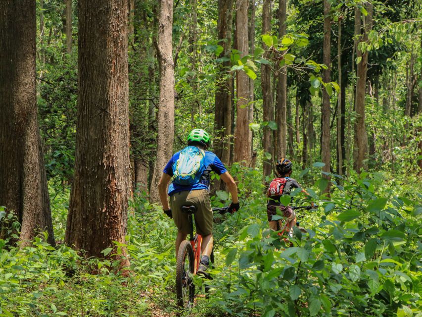 Chiang Mai: Boat Ride and Cycling Tour to Sticky Waterfall - Sticky Waterfall by Bike and Boat: Why This Trip Works