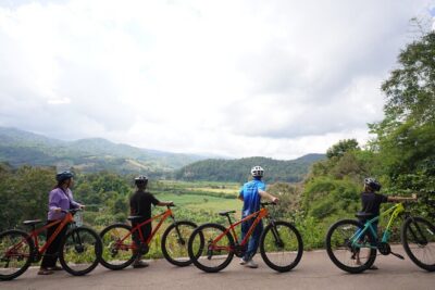 Chiang Mai: Cycling Nam Phare Countrysides, Breezy-Relax & Lunch - The Elephant Feeding and Bathing Moment (If It’s Included on Your Day)