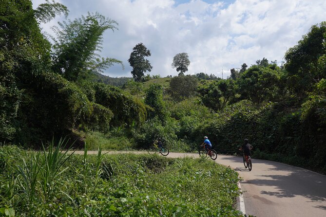 Chiang Mai: Cycling Nam Phare Countrysides, Breezy-Relax & Lunch - Timing and How It Fits Your Chiang Mai Plan